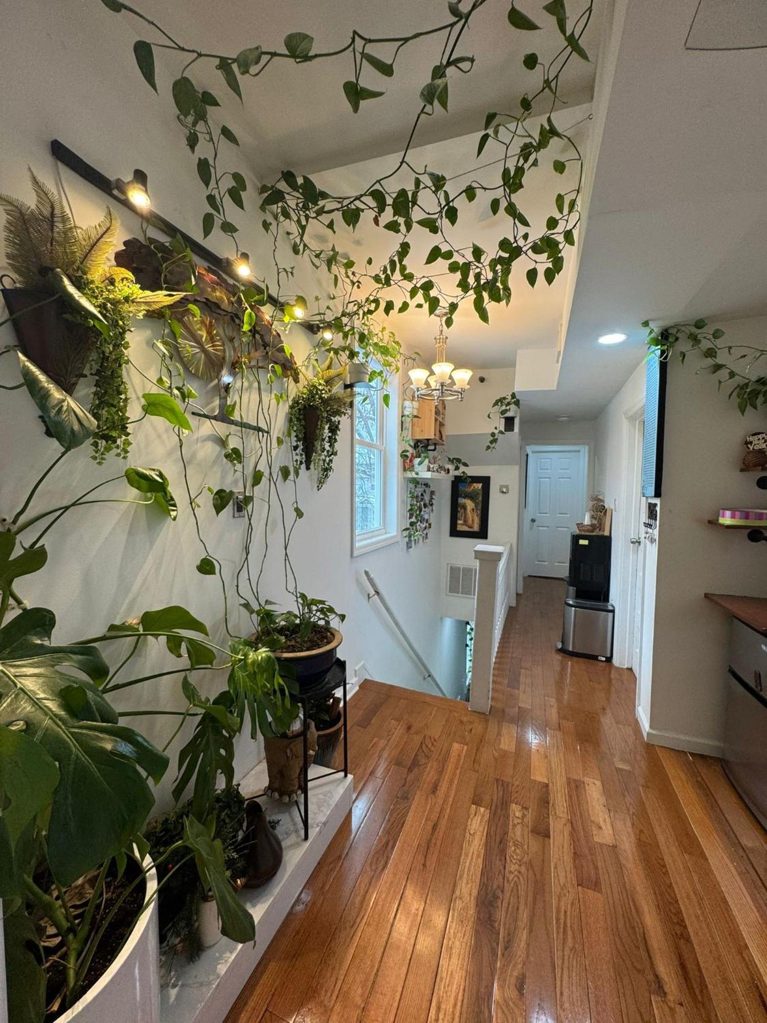 Dayton Dream Homestay *