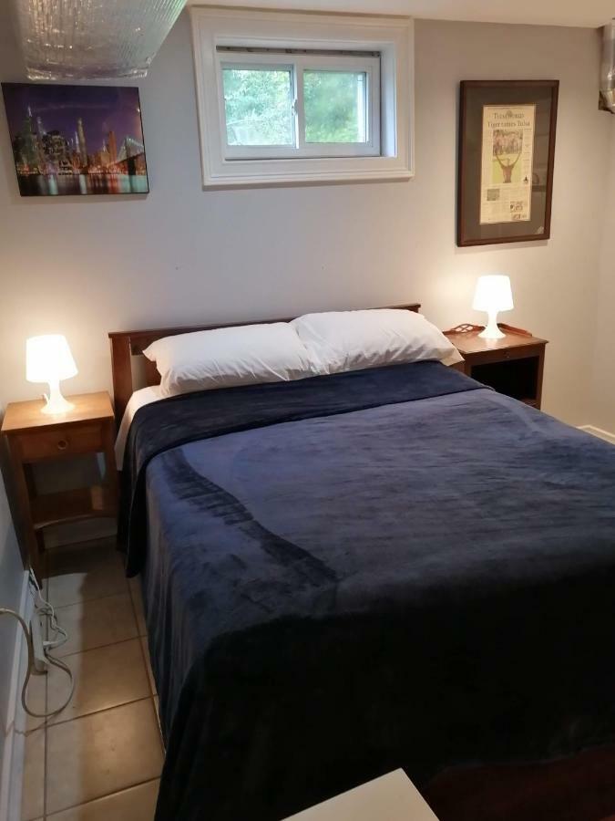 Apartment Cozy Basement Bedroom