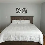 Beautiful 3Bdr House