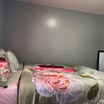 Divine Villa Guest House 65 Sherman 6Mins To Airport And 4Mins To Penn Station