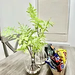 Cozy Evergreen Apartment By Newark Airport