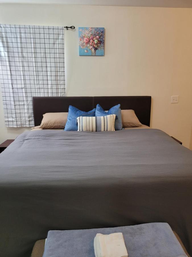 Daphy Open Loft * Newark