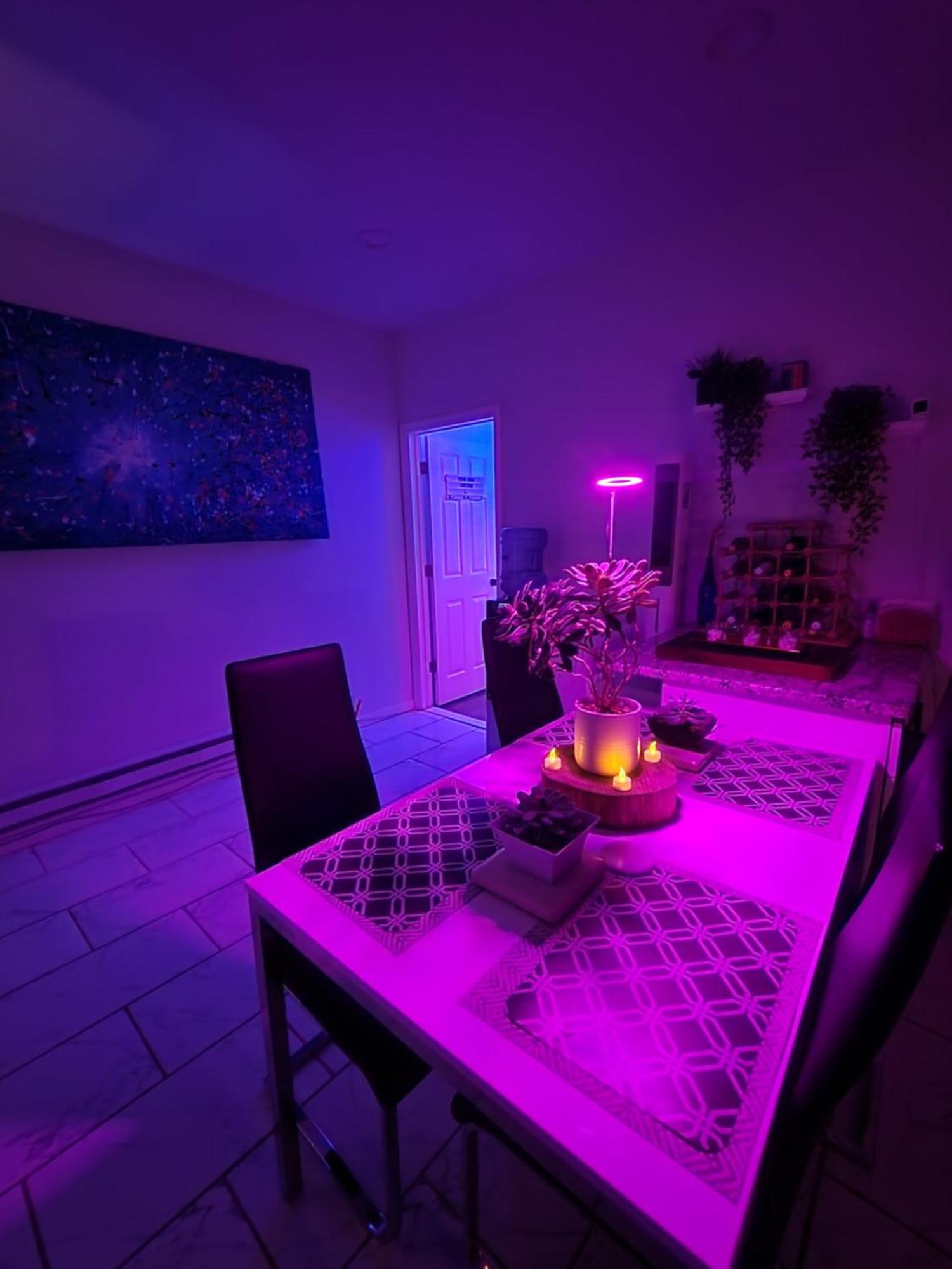 Serene Oasis With Private Bathroom Homestay