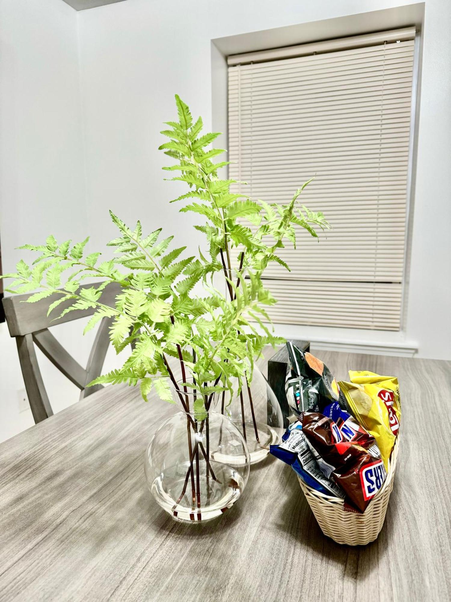 Cozy Evergreen By Airport Newark