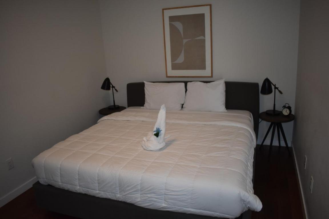 Kislak 402 Spacious 1br Retreat Above The Apartment Newark