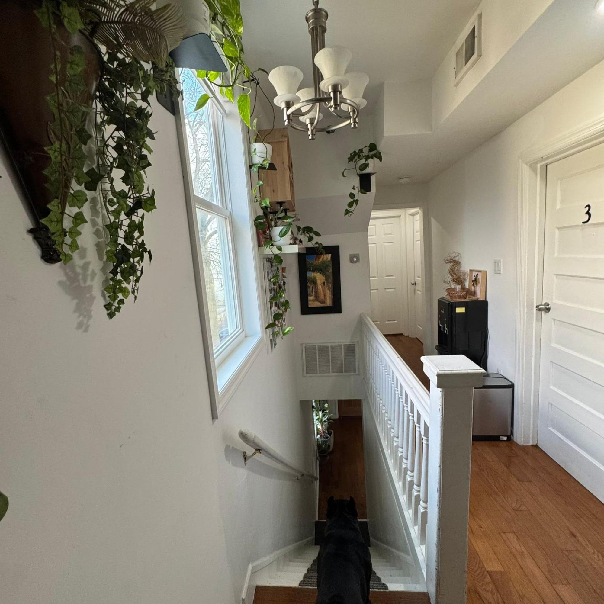 Homestay Dayton Dream