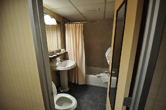 Wyndham Garden Airport 3*