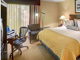 Wyndham Garden Airport Hotel 3*