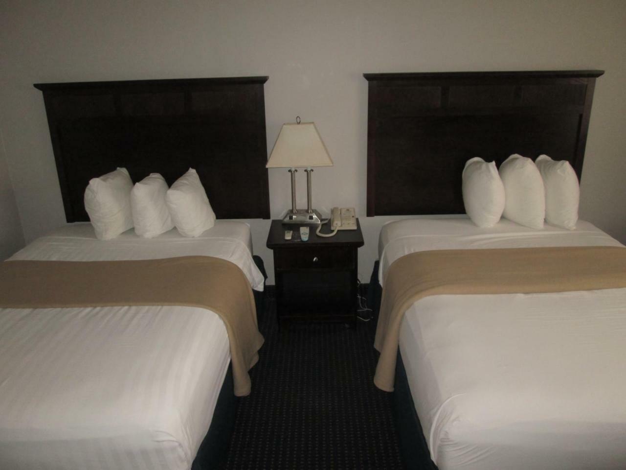 The Avenue Hotel 3*