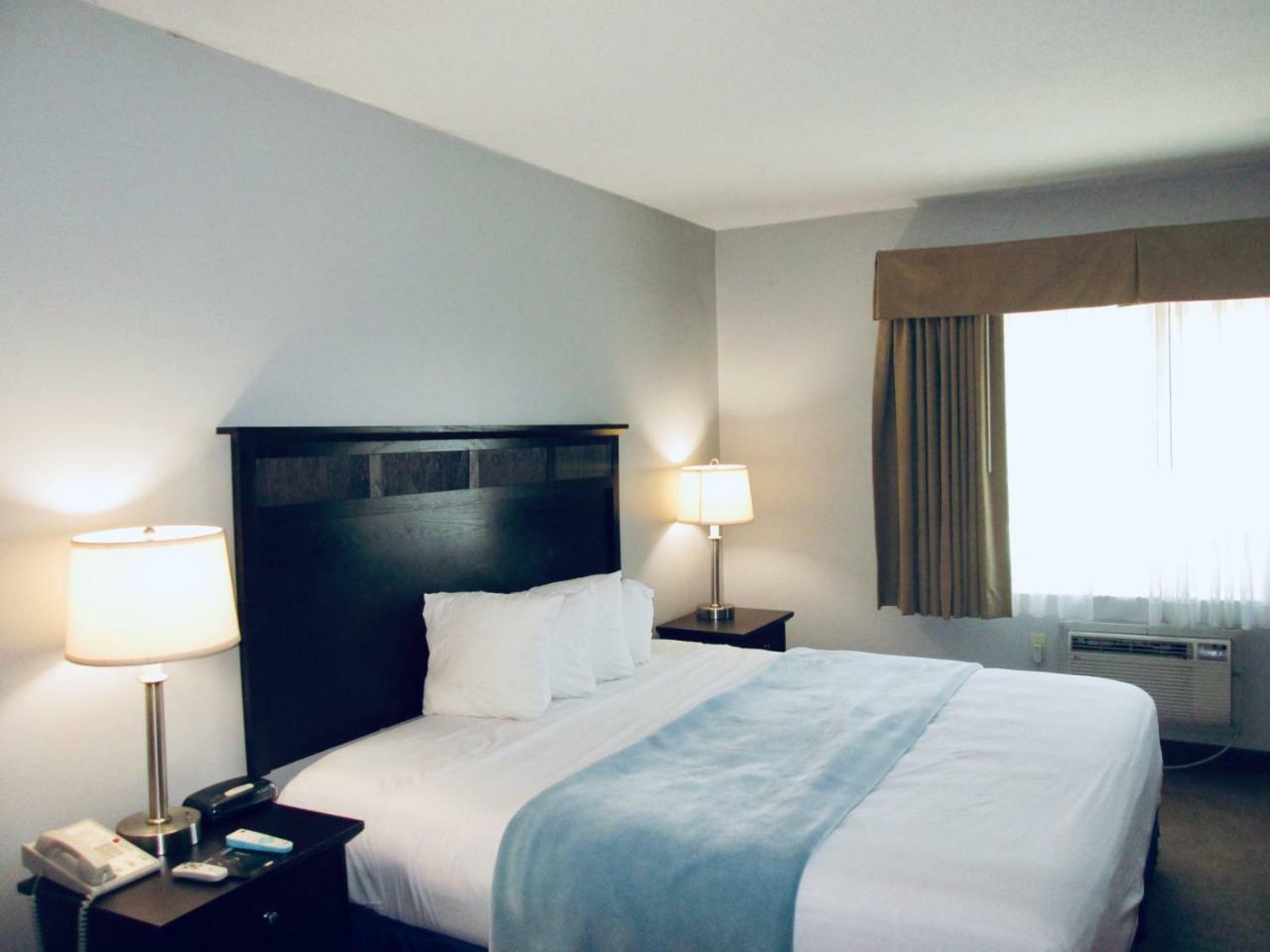 The Avenue Hotel 3*