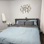 Comfy Fairmount